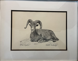 Beckendorf Bighorn Sheep print-640x506px